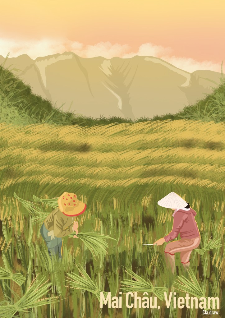 photo vietnam rizières affiche